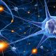 3D models of peripheral nerves in the body